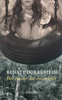 Querido Het duister dat ons scheidt - eBook Renate Dorrestein (9490647268)