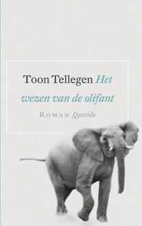 Querido Het wezen van de olifant - eBook Toon Tellegen (9021438674)