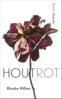 Querido Houtrot - eBook Rinske Hillen (9021407736)