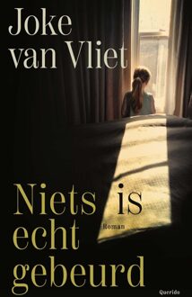 Querido Niets is echt gebeurd - Joke van Vliet - ebook