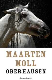 Querido Oberhausen - eBook Maarten Moll (9021400316)