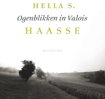 Querido Ogenblikken in Valois - eBook Hella S. Haasse (9021408465)