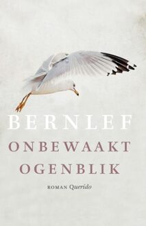Querido Onbewaakt ogenblik - eBook J. Bernlef (9021447126)