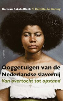 Querido Ooggetuigen van de Nederlandse slavernij - Karwan Fatah-Black, Camilla de Koning - ebook