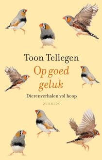 Querido Op goed geluk - eBook Toon Tellegen (9021455277)