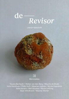 Querido Revisor 31 - Diverse auteurs - ebook