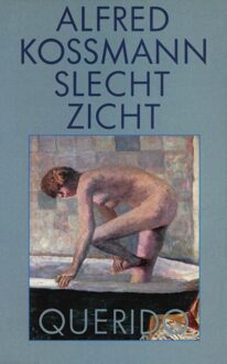 Querido Slecht zicht - eBook Alfred Kossmann (9021444992)