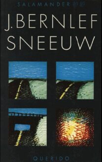 Querido Sneeuw - eBook J. Bernlef (9021443570)