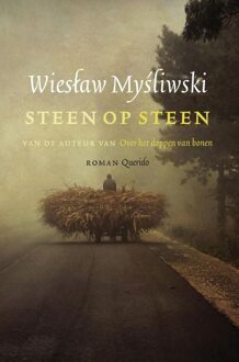 Querido Steen op steen - eBook Wieslaw Mysliwski (9021455587)