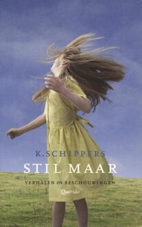 Querido Stil maar - eBook K. Schippers (9021445611)