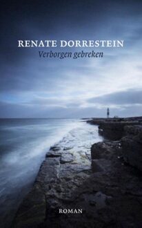 Querido Verborgen gebreken - eBook Renate Dorrestein (9490647225)