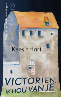 Querido Victorien, ik hou van je - Kees 't Hart - ebook