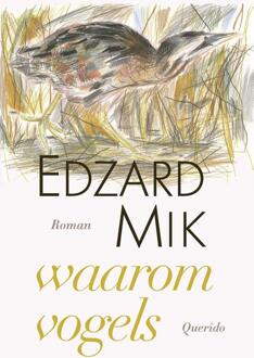 Querido waarom vogels - Edzard Mik - ebook