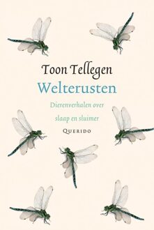 Querido Welterusten - eBook Toon Tellegen (902144643X)