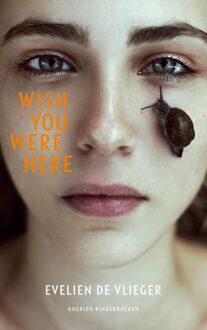 Querido Wish you were here - eBook Evelien De Vlieger (9045120968)