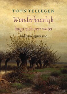 Querido Wonderbaarlijk buigt zich over water - eBook Toon Tellegen (9021403579)