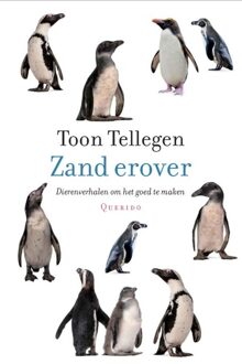 Querido Zand erover - eBook Toon Tellegen (902144609X)