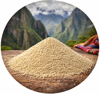 Quinoa