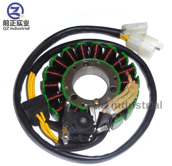 Qz Industriële 200cc QM200GY-B QS200 XF200GY GXT200 GS200 QM200GY Magnetor Stator Coil