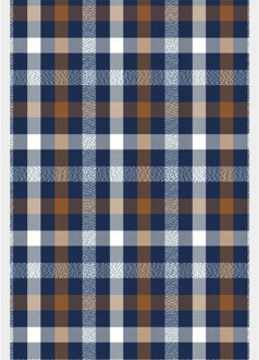 R.b. boston casual hemd lange mouw franklin ls button down 427670/23 - maat XXL Bruin