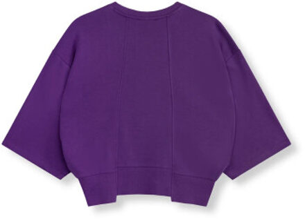 R2602722920 ladies knitted cropped shortsleeve sweater romee - maat L Paars