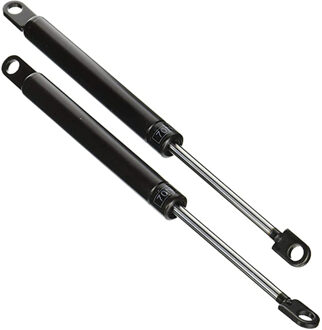 raaco Gasdruk cilinder, set a 2 stuks - 144124 144124