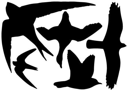 Raamstickers vogels assortiment op één vel