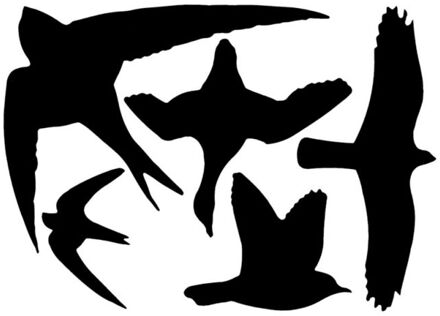 Raamstickers vogels assortiment op één vel