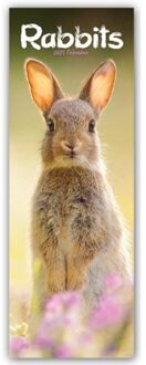 Rabbits Slim Calendar 2025 Cute Slimline Calendar - 12 Month - Slimline-Kalender (Browntrout) - Avonside Publishing Ltd
