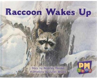 Raccoon Wakes Up - Smith, Annette