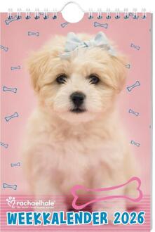 Rachael Hale Honden weekkalender 2026 -  Rachael Hale (ISBN: 9789464328578)