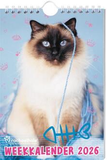 Rachael Hale Katten weekkalender 2026 -  Rachael Hale (ISBN: 9789464328585)