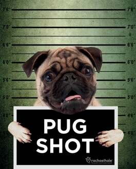 Rachael Hale - Pug Shot