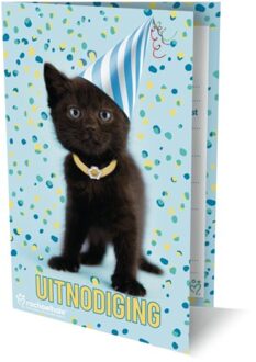 Rachel Hale Kat Uitnodiging Pk938 - Set Van 6 - Interstat