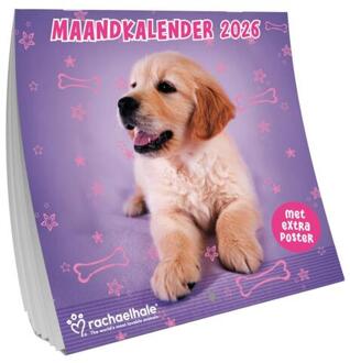 Rachel Hale maandkalender -  Rachel Hale (ISBN: 9789464328509)