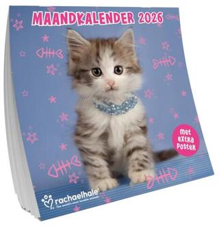 Rachel Hale maandkalender -  Rachel Hale (ISBN: 9789464328899)