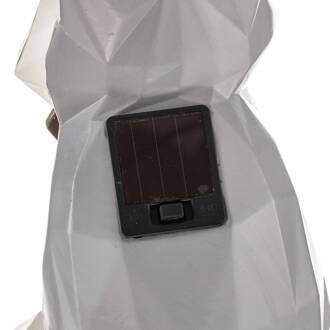 Racoon LED lamp op zonne-energie, figuur, wasbeer zwart, wit, bruin, grijs