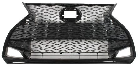 Radiateurgrille 6502078173992P