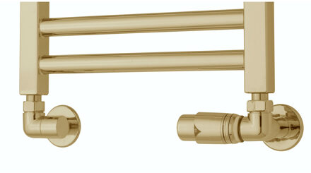 Radiator Zij-Aansluitset TVS Ventile 220 Goud