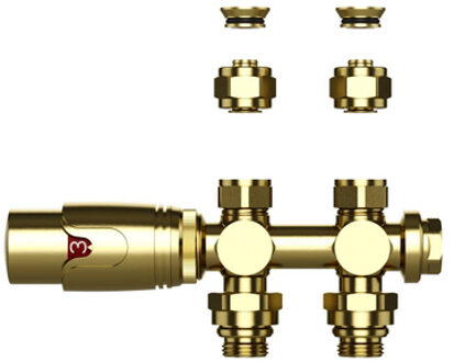 Radiatorkraan - 19.8x4.3 - thermostatisch - muur- en vloeraansluting - 1/2MX16/2 M30 - geborsteld goud BLR304 Goud geborsteld