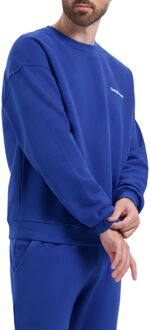 Rafine Sweater Heren blauw - L