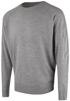 Raglan Heren Lichtgrijze Trui Lichtgrijs