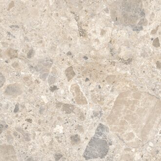 Ragno Vloertegel Ragno Eterna 60x60 cm Mix Multicolour Ragno