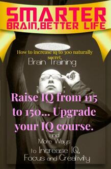Raise IQ from 115 to 150... Upgrade your IQ course. -  Superior Emerald (ISBN: 9789403760858)