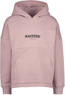 Raizzed Jongens hoodie djurre gray Paars - 116