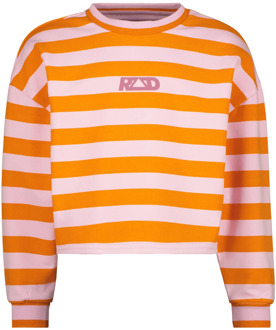 Raizzed Meiden sweater valery croped cold Roze - 116