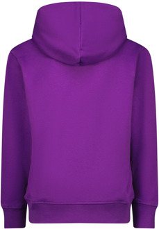 Raizzed meisjes hoodie Paars - 176