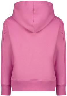 Raizzed meisjes hoodie Rose - 140