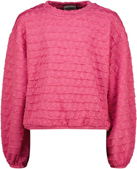 Raizzed meisjes sweater Fuchsia - 164