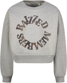 Raizzed meisjes sweater Grijs - 140